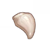 Juvenile Fang
