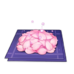 Sakura Bloom