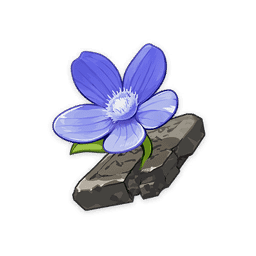 Tiny Miracle