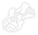Fist of Conviction