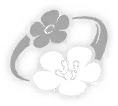 Silken Serenade