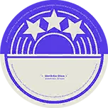 Shockstar Disco